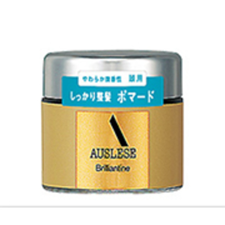 【業務用】大容量　アウスレーゼ　ブリランチンN ポマード　120g×2個 アウスレーゼ ブリランチンN｜美容メディアVOCE（ヴォーチェ）